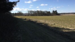 KAJ KJÆRFLORA & FAUNA