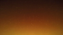 KAJ KJÆRFLORA & FAUNA