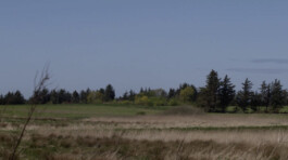 KAJ KJÆRFLORA & FAUNA