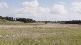 KAJ KJÆRFLORA & FAUNA