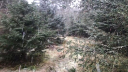 KAJ KJÆRFLORA & FAUNA