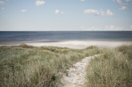 KAJ KJÆRFLORA & FAUNA